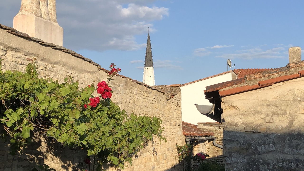 Photo of Outdoor in Ars-en-Re