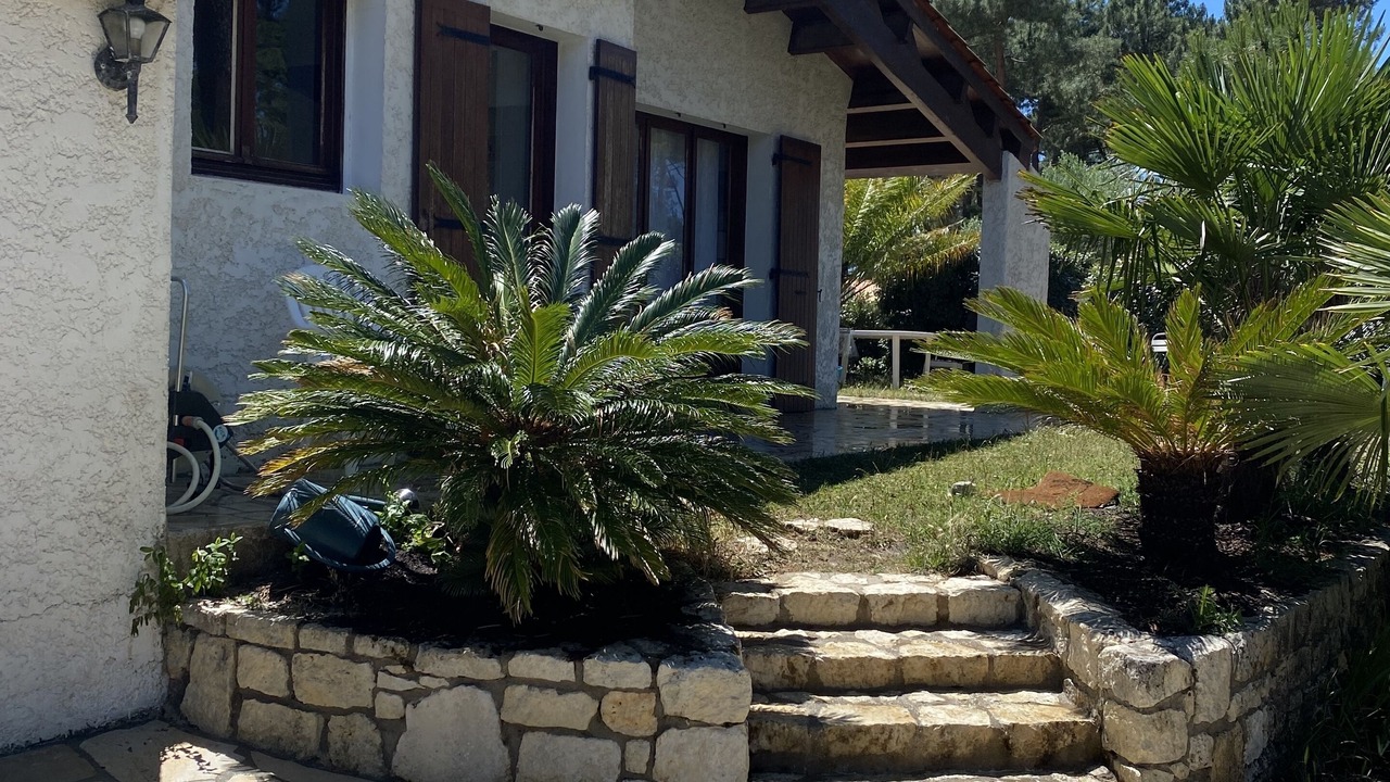 Photo of Outdoor in La Palmyre