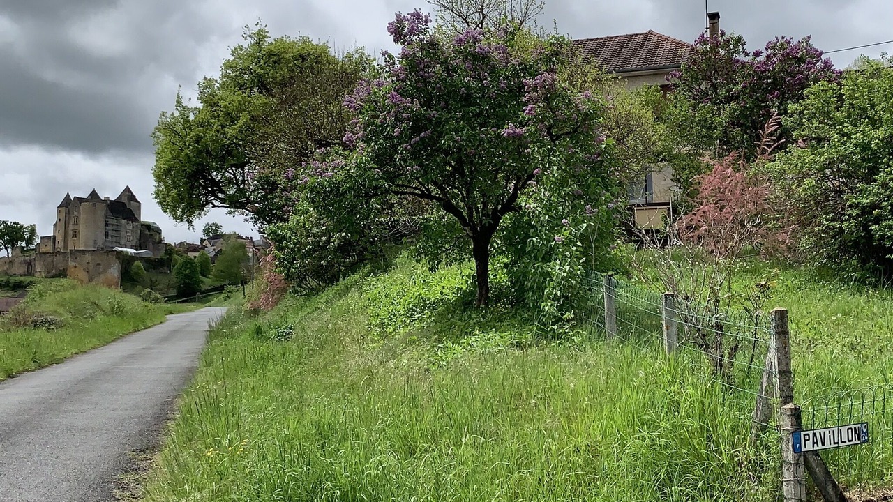 Photo of Outdoor in Salignac-Eyvignes