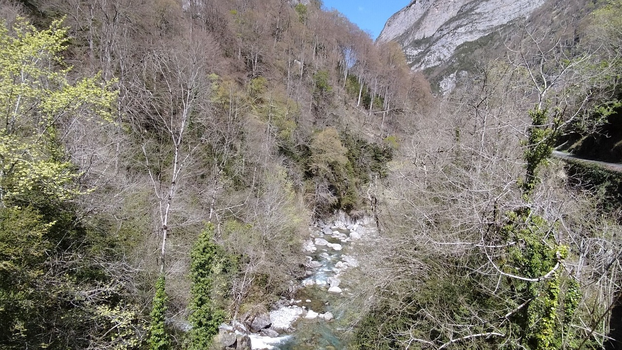 Photo of Others in Laruns