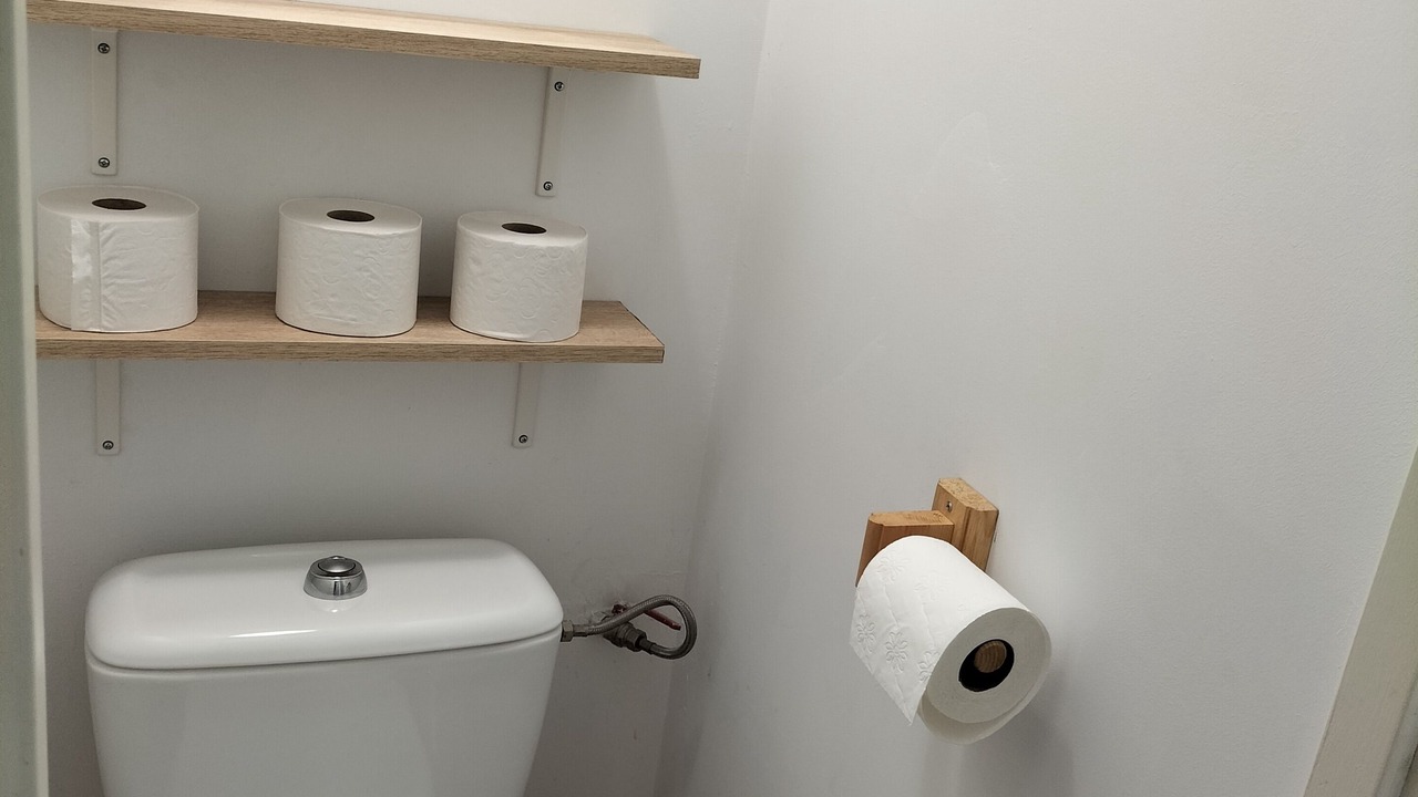 Photo of Bathroom in Laruns