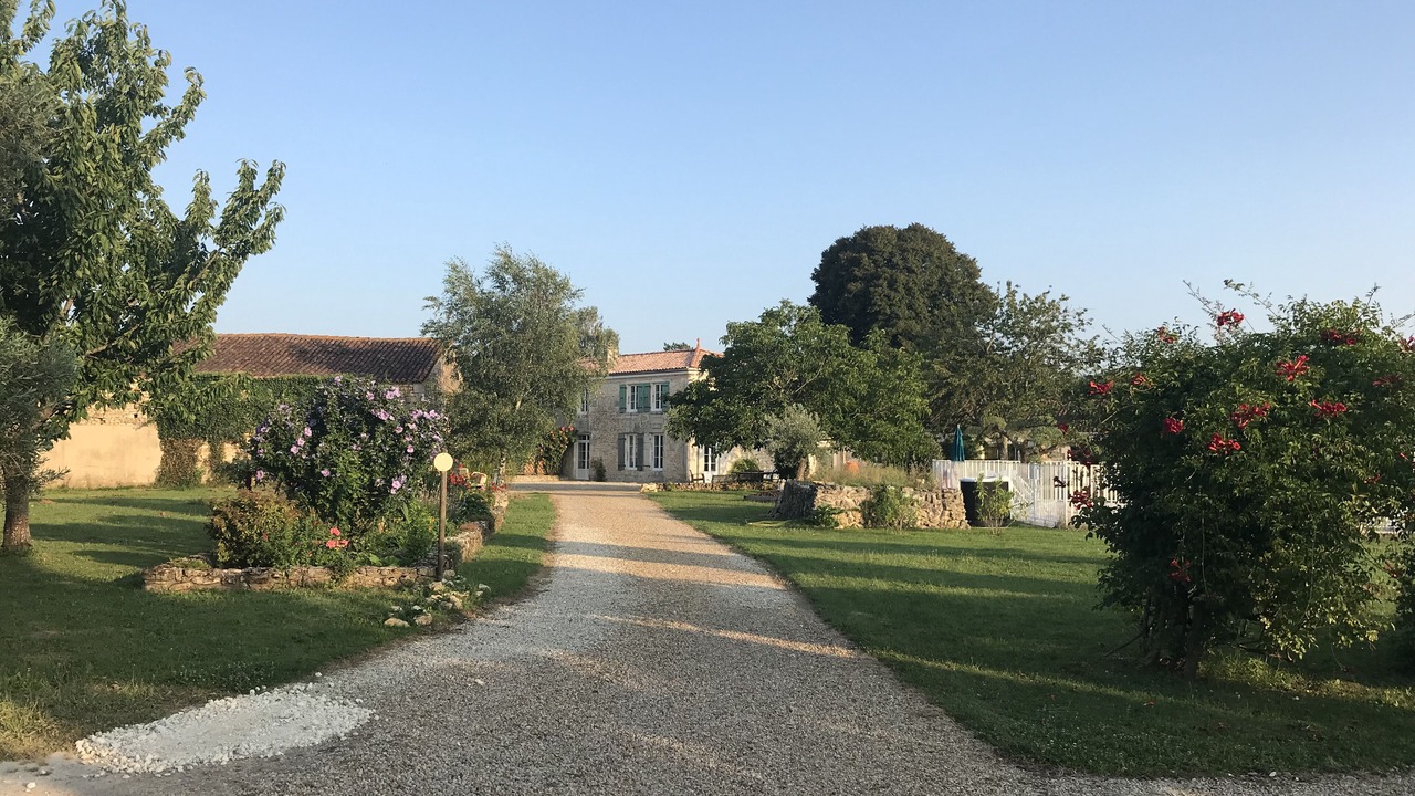 Photo of Outdoor in Saint-Simon-de-Pellouaille