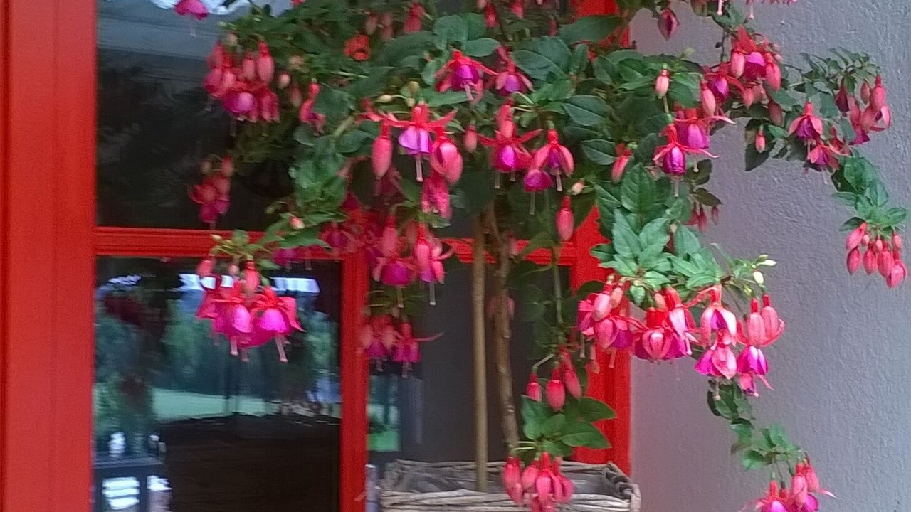 Photo of Outdoor in Saint-Romain