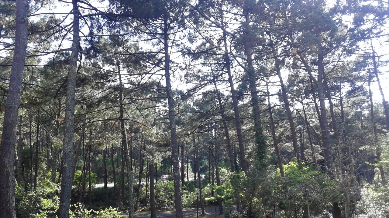 Photo of Others in Maubuisson