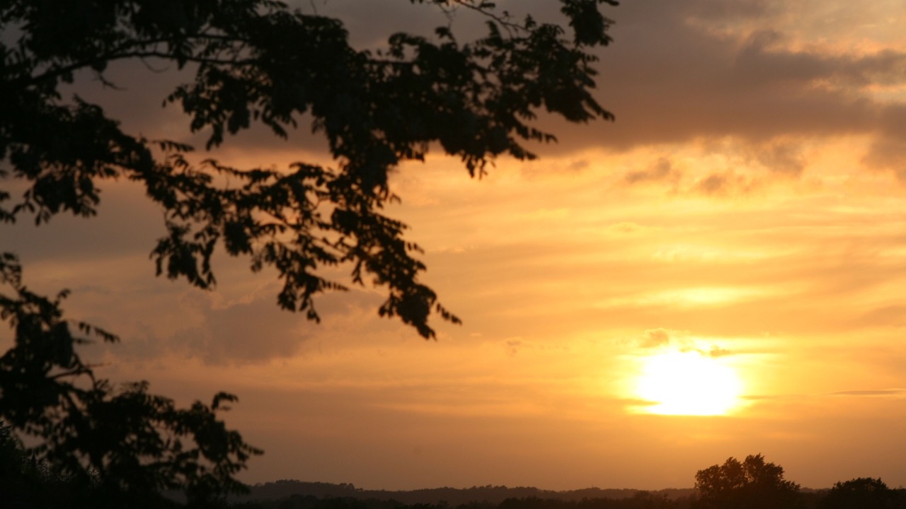 Photo of Outdoor in Cendrieux