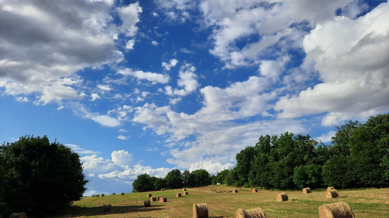 Photo of Outdoor in Cendrieux