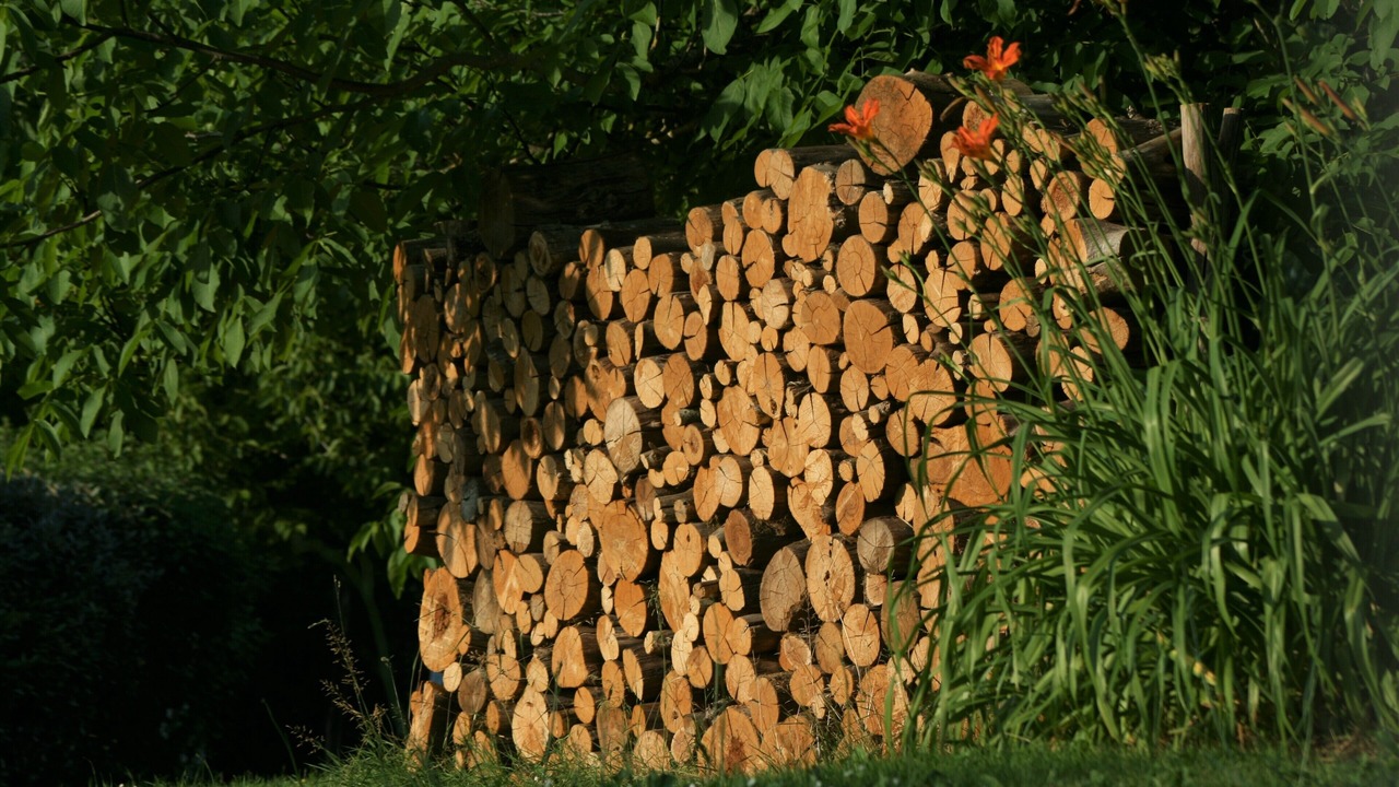 Photo of Outdoor in Cendrieux