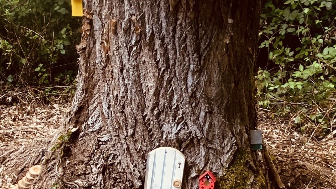 Photo of Outdoor in Ruffec
