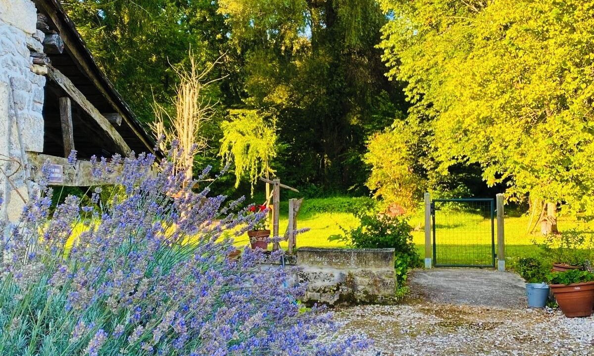 Photo of Outdoor in Ruffec