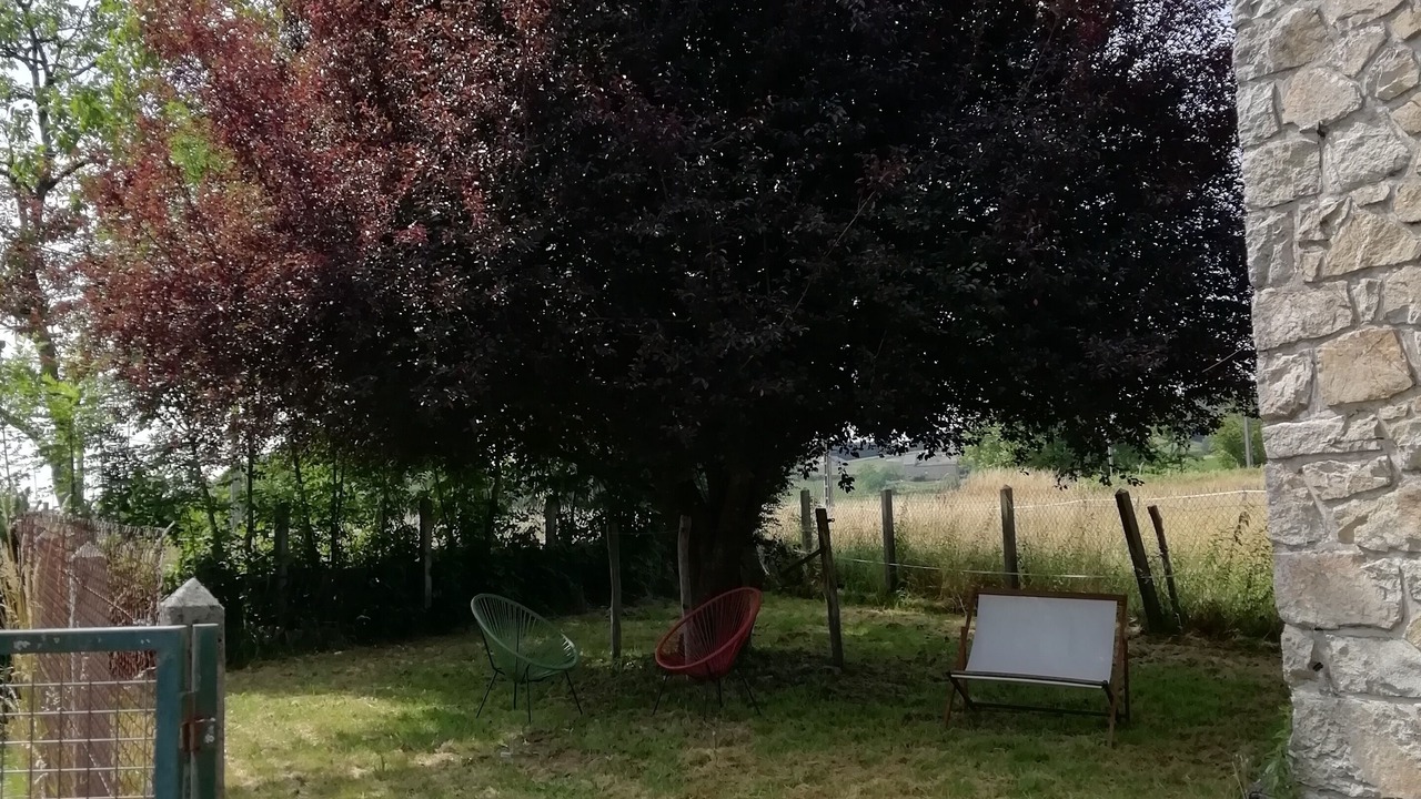 Photo of Outdoor in Albussac