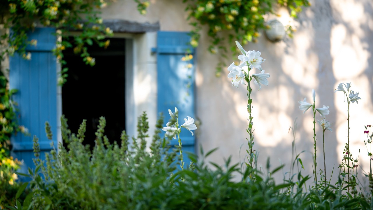Photo of Outdoor in Poullignac