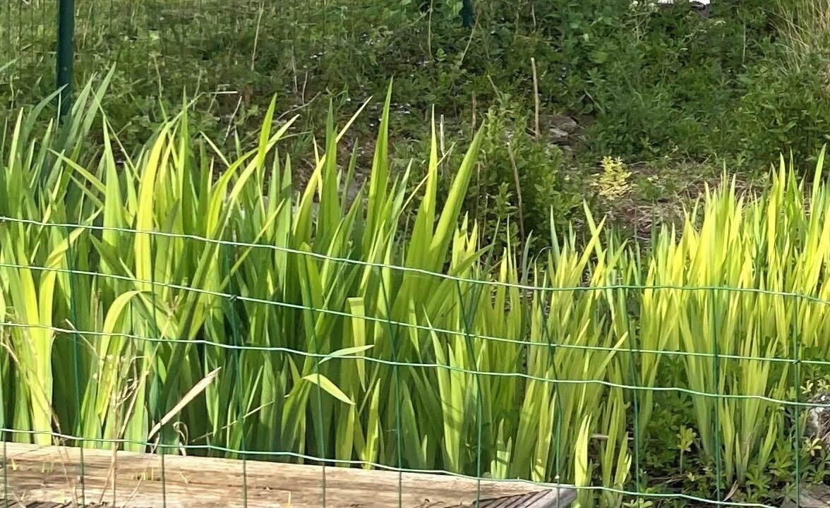 Photo of Outdoor in Saint-Michel-de-Montaigne