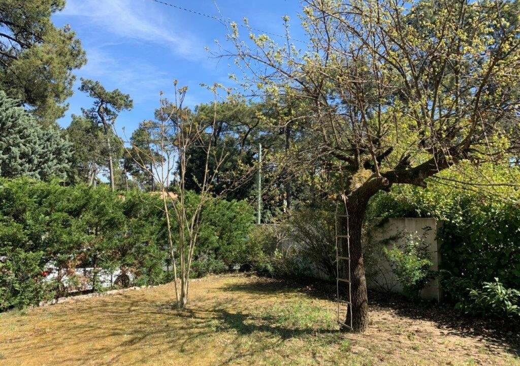 Photo of Outdoor in Saint-Georges-de-Didonne