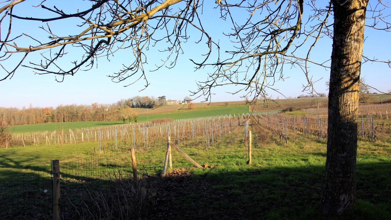 Photo of Outdoor in Saint-Meard-de-Gurcon