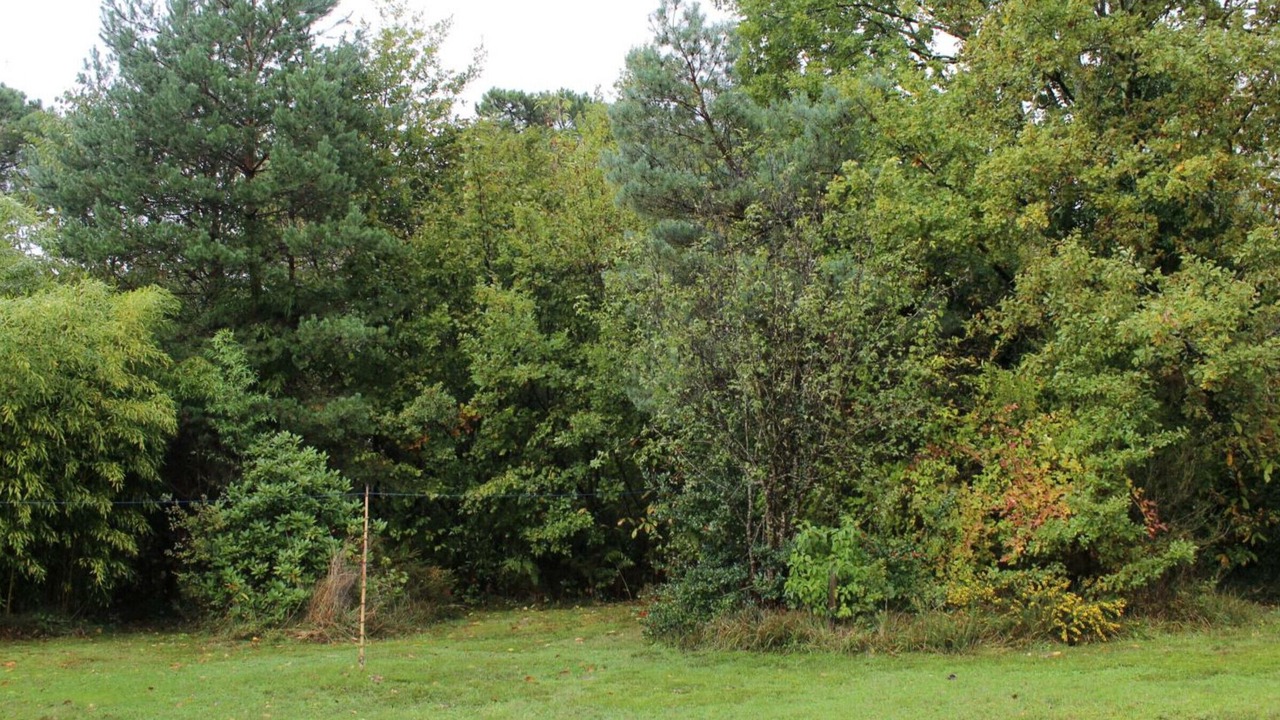 Photo of Outdoor in Chancelade