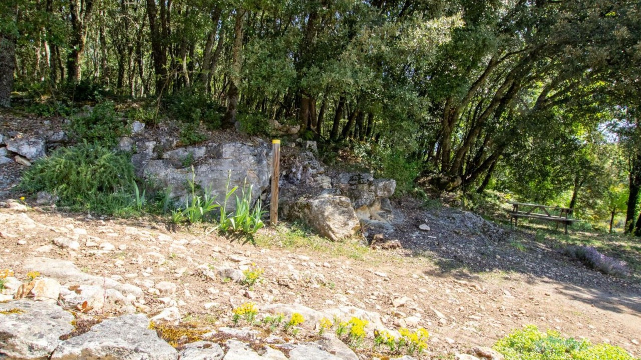 Photo of Outdoor in La Roque-Gageac