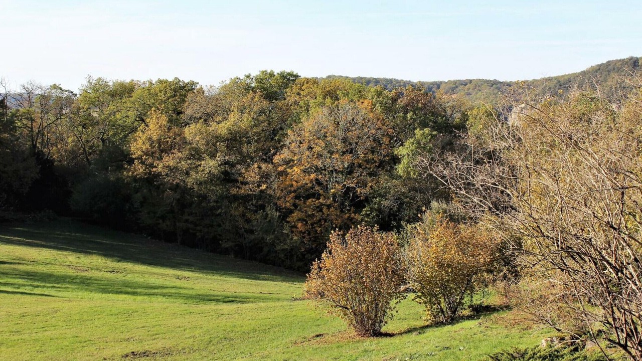 Photo of Outdoor in La Roque-Gageac