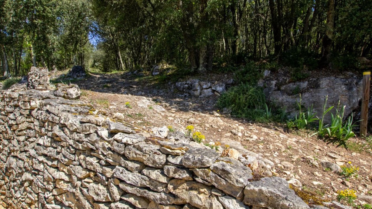 Photo of Outdoor in La Roque-Gageac