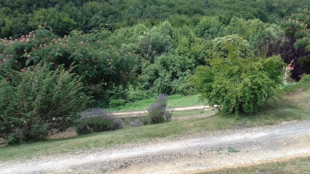 Photo of Outdoor in Saint-Vincent-le-Paluel