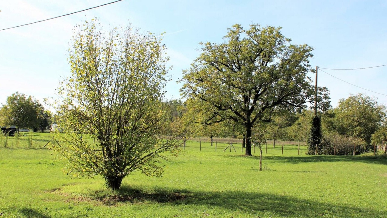 Photo of Outdoor in Coulaures