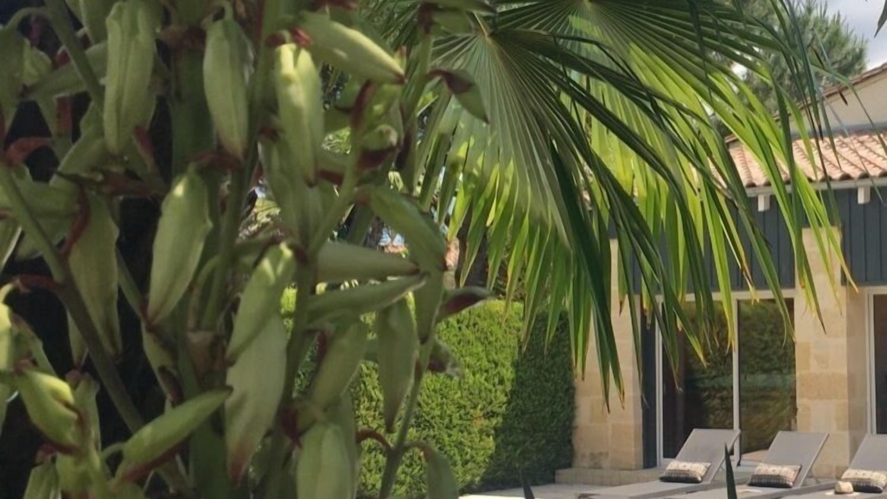 Photo of Outdoor in Cubnezais