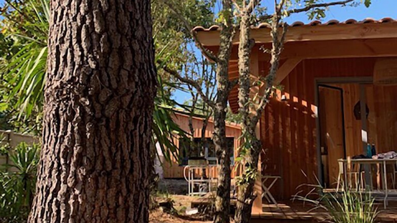 Photo of Outdoor in Vendays-Montalivet