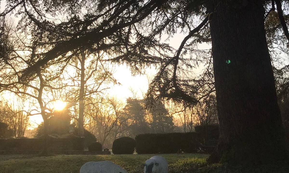 Photo of Outdoor in Sainte-Alvere