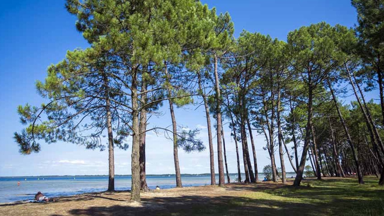 Photo of Outdoor in Parentis-en-Born
