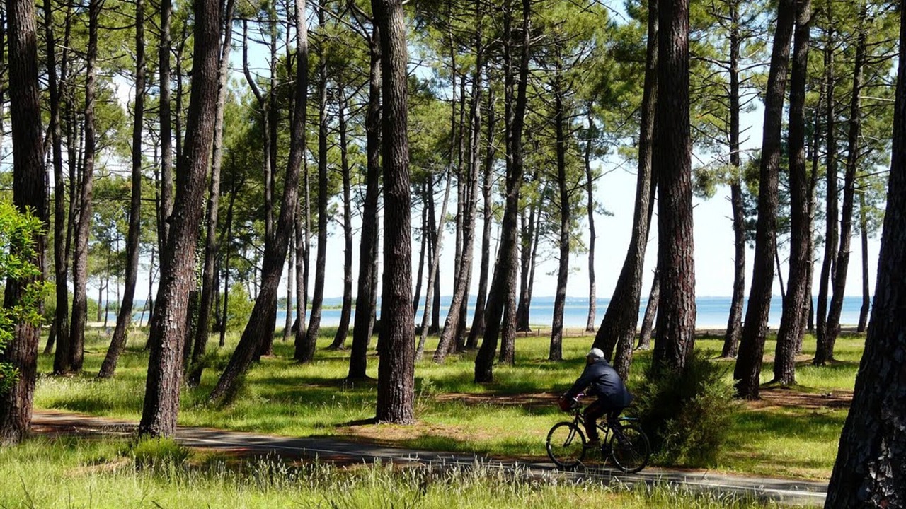 Photo of Outdoor in Parentis-en-Born