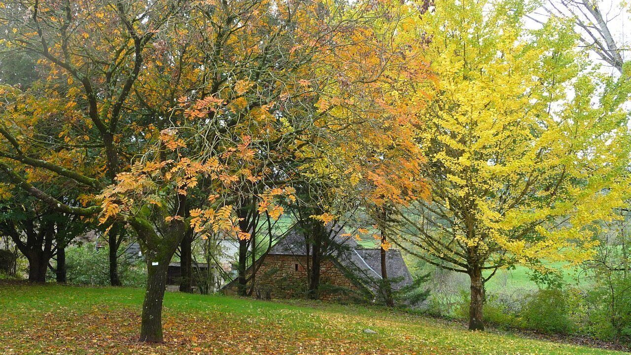Photo of Outdoor in Ayen
