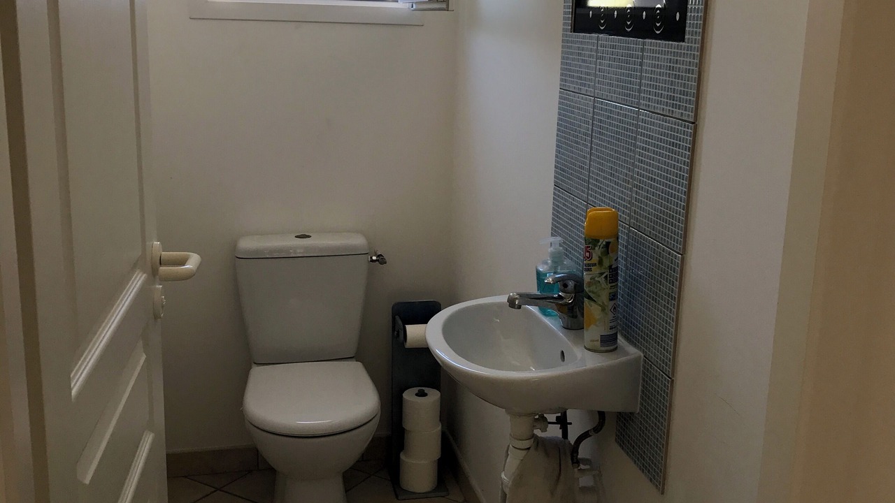 Photo of Bathroom in Domino