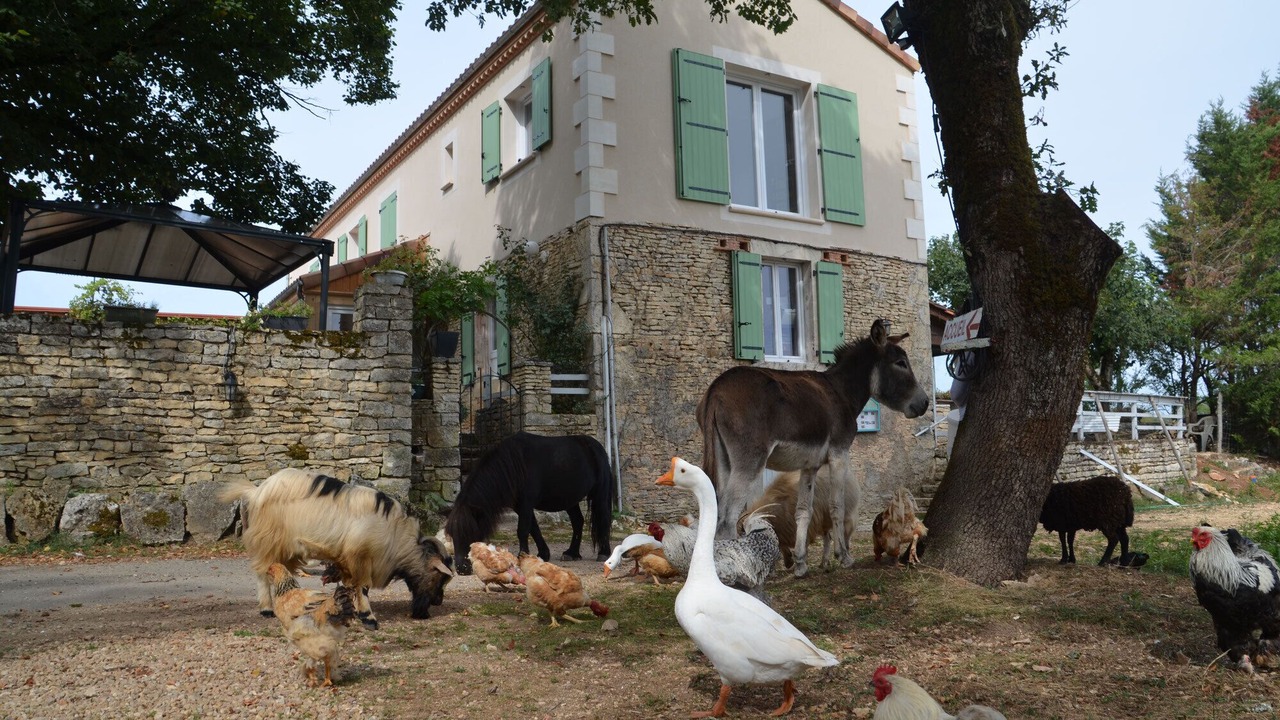 Photo of Outdoor in Gabillou