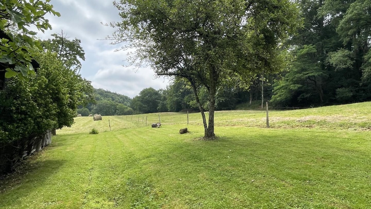 Photo of Outdoor in Burosse-Mendousse