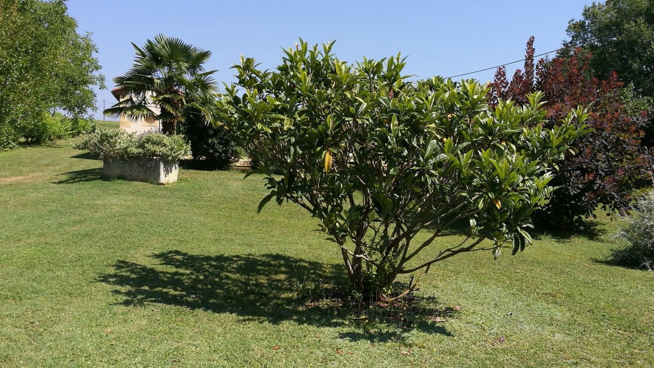 Photo of Outdoor in Daglan