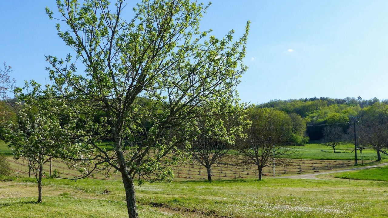 Photo of Outdoor in Sainte-Mondane
