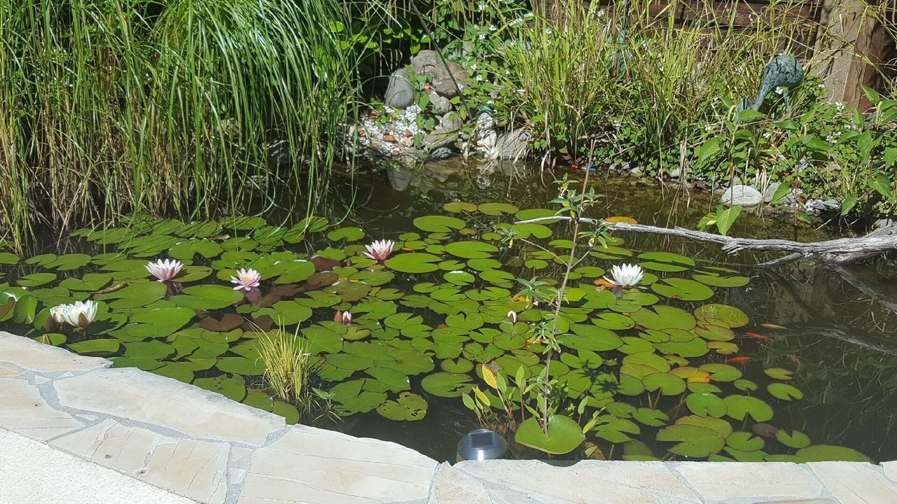 Photo of Outdoor in Atur