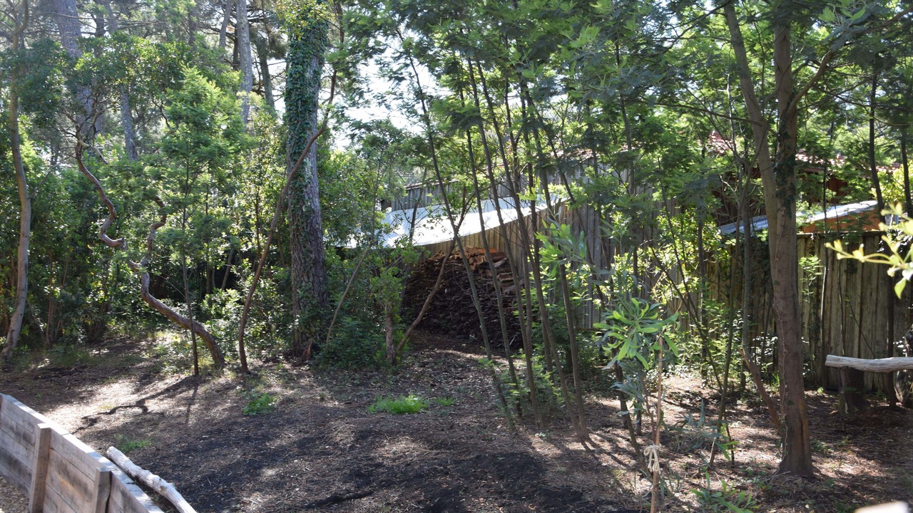 Photo of Outdoor in Cap-Ferret