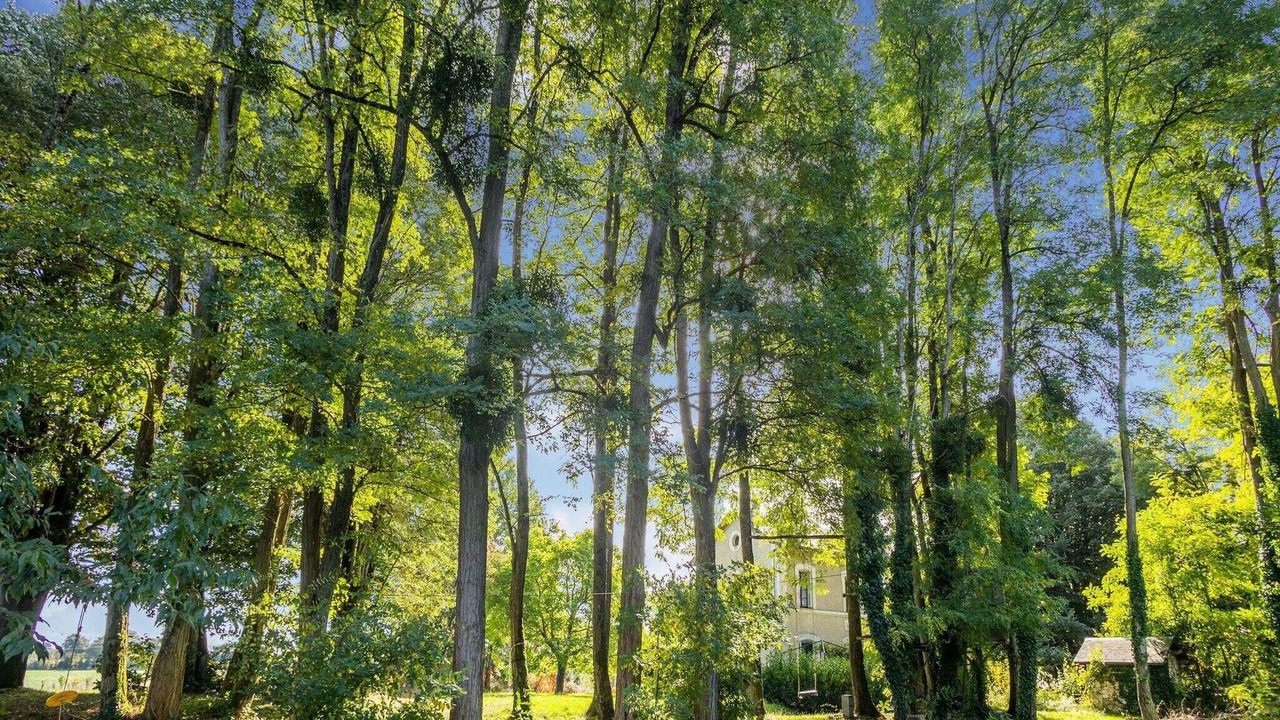 Photo of Outdoor in Jemelle