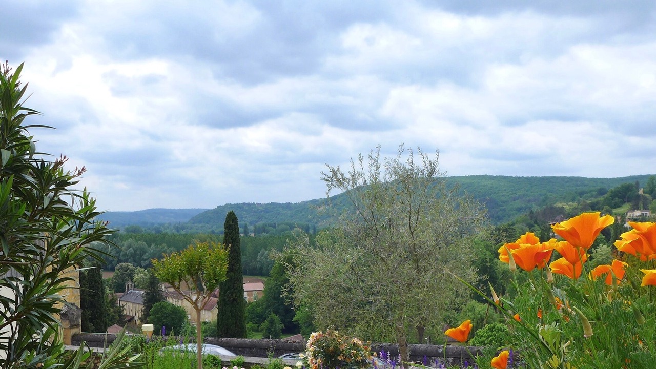 Photo of Outdoor in Saint-Cyprien
