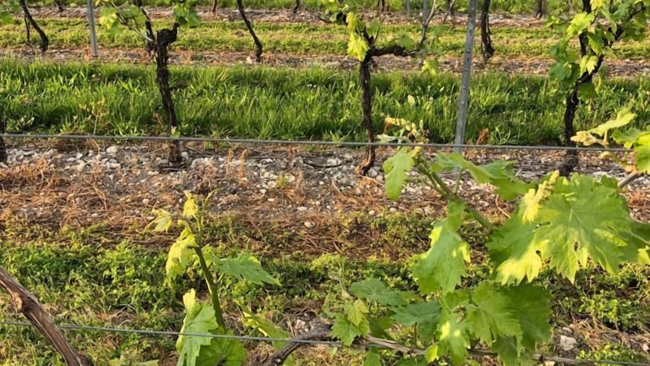 Photo of Outdoor in Verrieres
