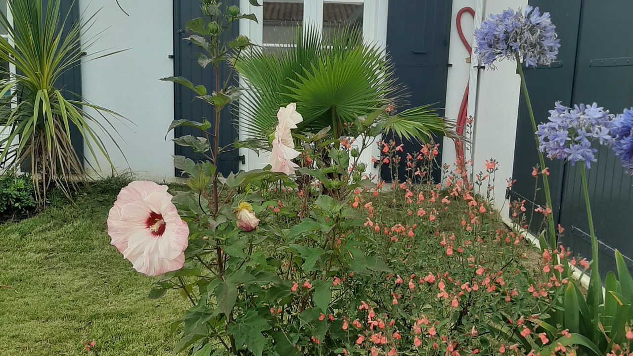 Photo of Outdoor in La Remigeasse