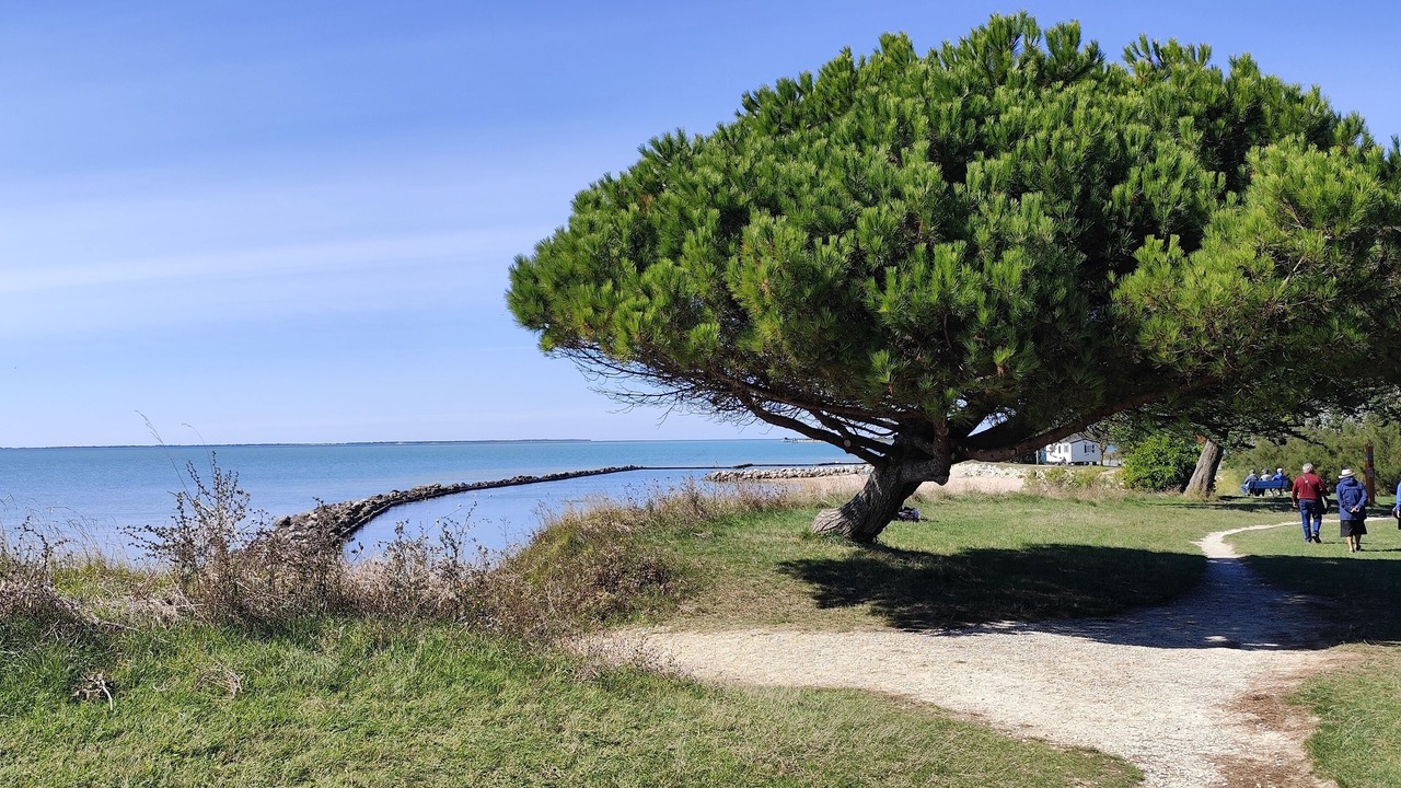 Photo of Others in Port-des-Barques