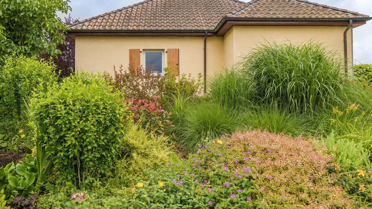Photo of Outdoor in Saint-Nexans