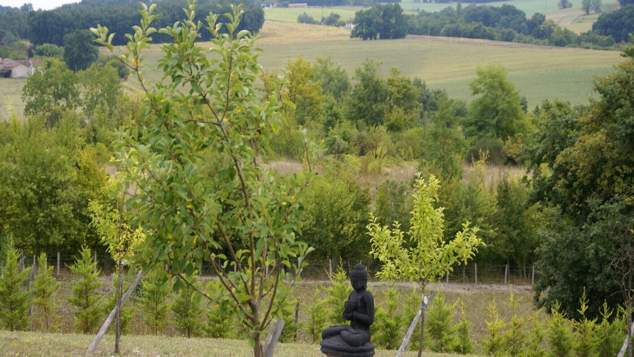 Photo of Others in Lusignac