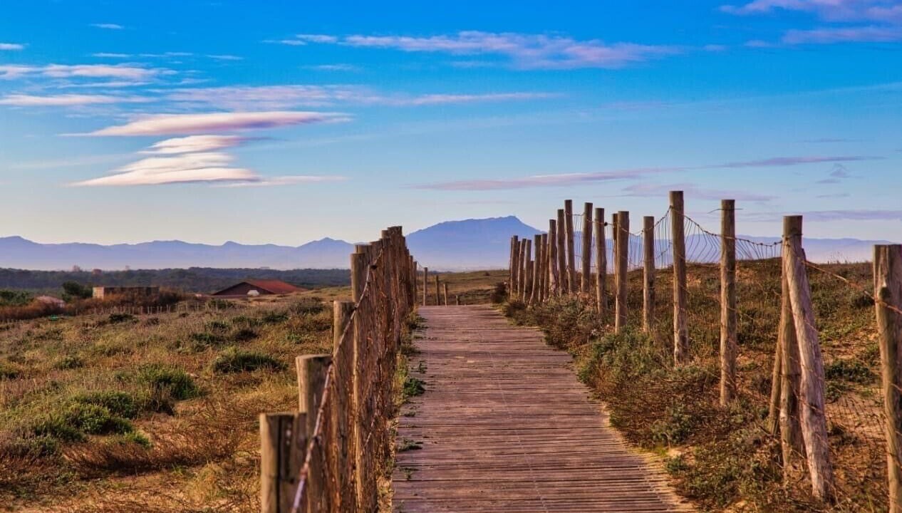 Photo of Outdoor in Labenne-Ocean