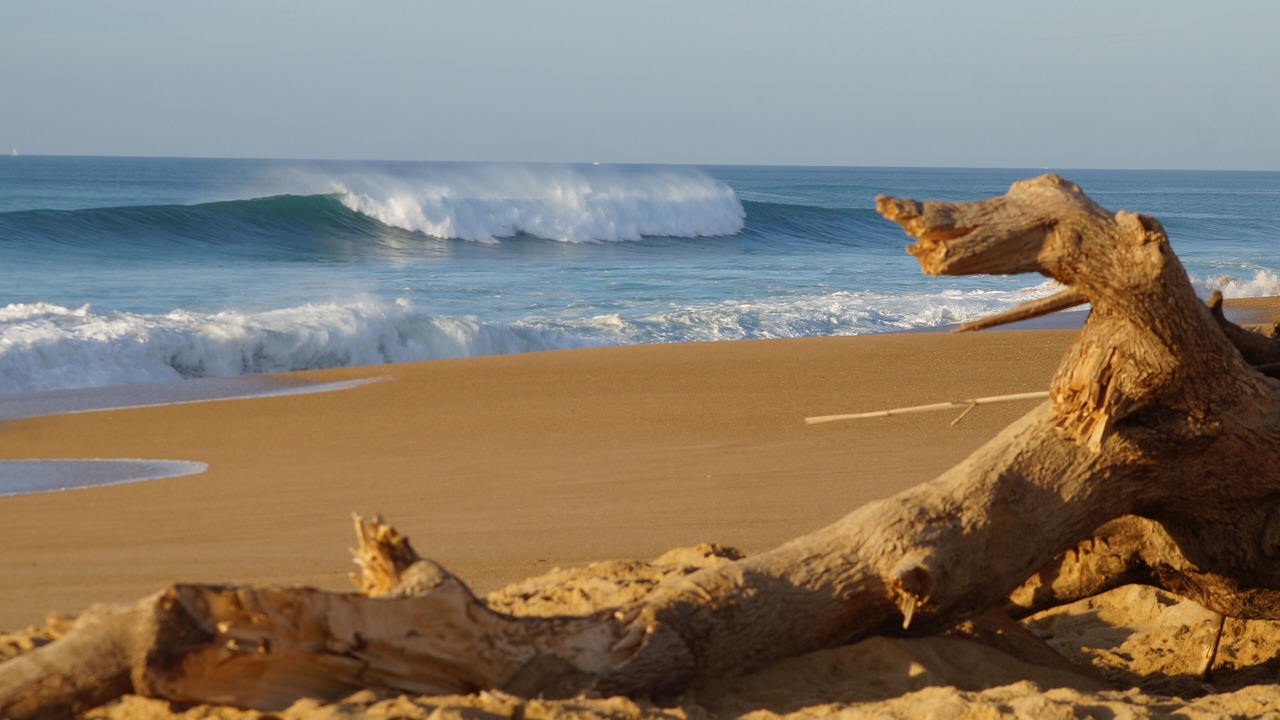 Photo of Others in Labenne-Ocean