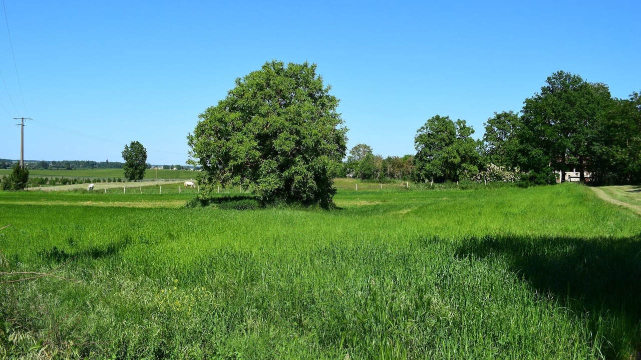 Photo of Others in Saint-Jean-de-Sauves