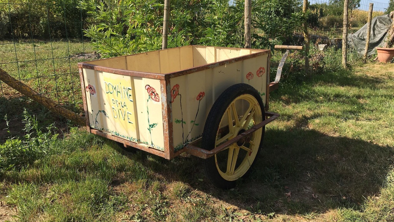 Photo of Outdoor in Saint-Jean-de-Sauves
