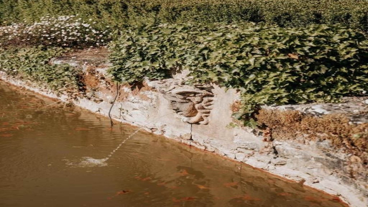 Photo of Others in Vezac
