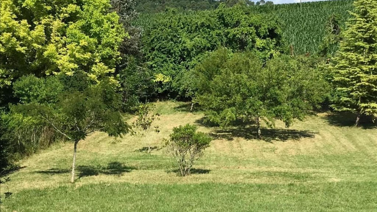 Photo of Others in Bourgnac